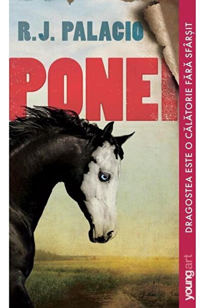 Editura Young Art Ponei, R. J. Palace