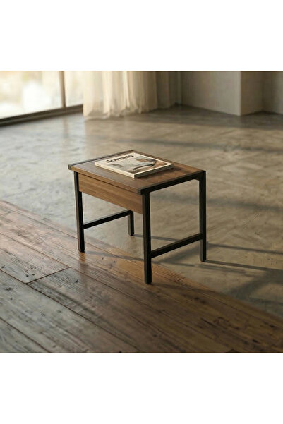 lagomood Lagomini Ofis Sehpası Ceviz