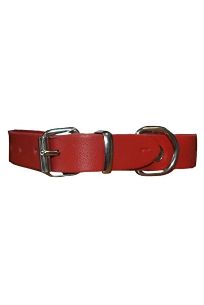 Antal ZGARDA PENTRU CAINI P NR.2 ROSU 2.0/45 CM