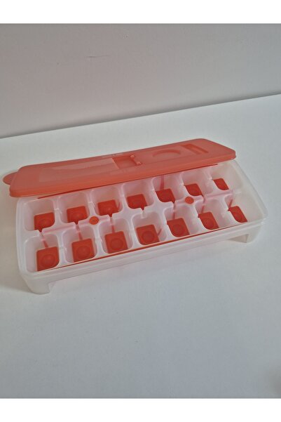 Tupperware Ice Age, Ice Mold