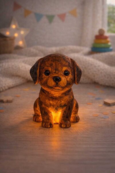 ASYDESIGN Sevimli Köpek Boyama Seti Hobi Dekor Oyuncak Aydınlatmalı