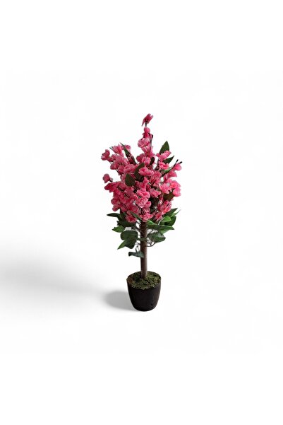 Cennet Home Soft Sakura Pembe Bahardalı Ağacı 75 cm Masaüstü Dekoratif Yapay ...