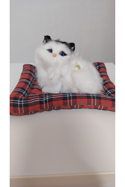 FARA The white cat that meows on demand