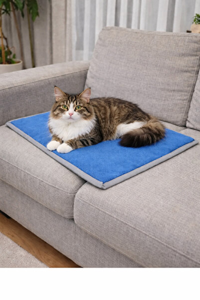 Beta 60/40 cm kedi ve köpek mati içi süngerli yumuşak minderi yatağı