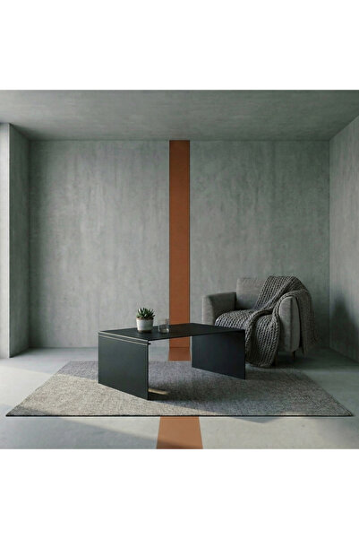 modilab Modern Metal Orta Sehpa- Minimal Dikdörtgen Demonte Salon Sehpası