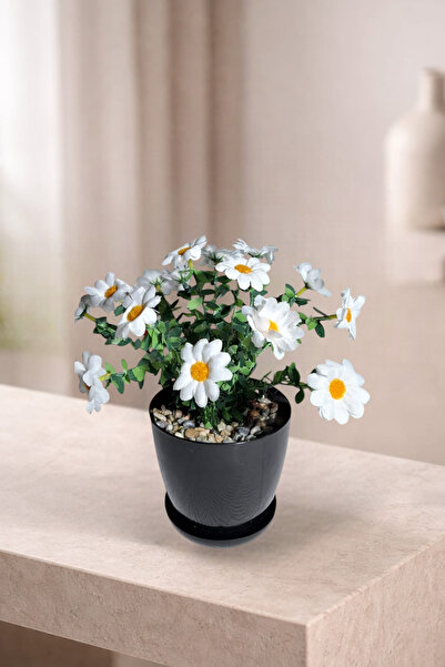 nftart.design Yapay Çiçek - Saksıda Kır Papatyası