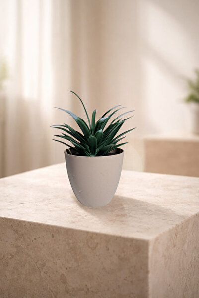 nftart.design نباتات صبارية ونباتات عصارية اصطناعية في أصيص
