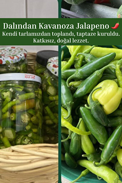 ALTIN GIDA 45 1/2 Kg Jalapeno Acı Biber Turşusu Kendi Bahçemizden