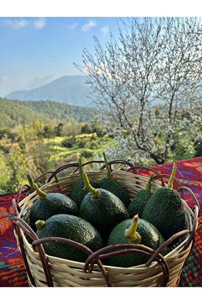 Soleamour Avokado 1 KG