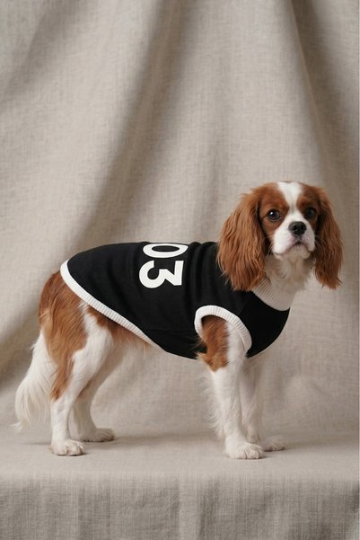Patipin Fan Series 1903 Written Dog Tank Top - Black and White Dog Outfit Suitable for Small Breeds