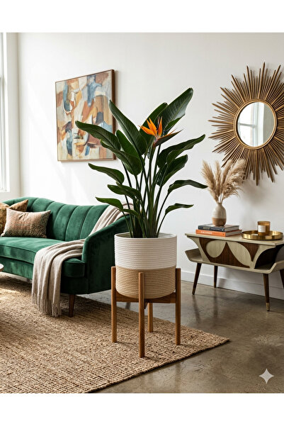 bayram taşcıoğlu home desing Ahşap Çiçek Standı ve Sepet Saksılık