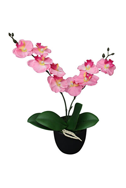 Concept Plantă artificială orhidee cu ghiveci, 30 cm, roz