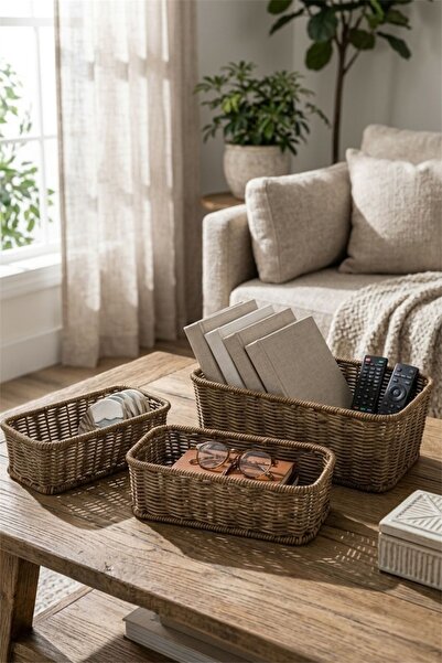 Bayev مجموعة سلال الروطان المكونة من 3 قطع من فافوريت 9229 أكاسيا، منظم ديكور...