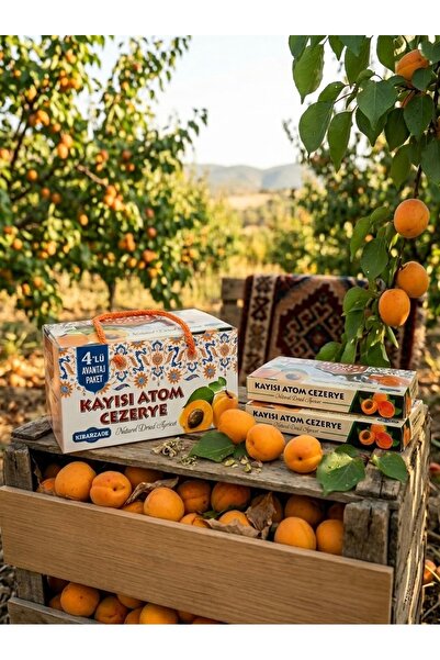 kibarzade kestane şekeri Kayısı Atom Cezerye 4'lü Çanta (125 gr x 4)
