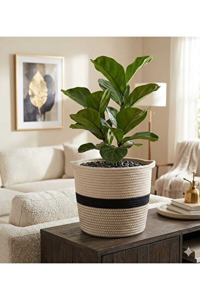bayram taşcıoğlu home desing 2525 Organizer Basket Flower Pot