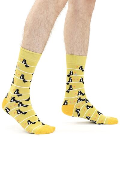The Socks House Ανδρικές κάλτσες με σχέδιο πουλιού Τούκαν