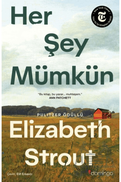 Domingo Yayınevi Her Şey Mümkün: Bir Lucy Barton Romanı
