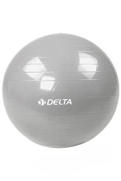 Delta SLV805 Gümüş Pilates Topu 20 cm