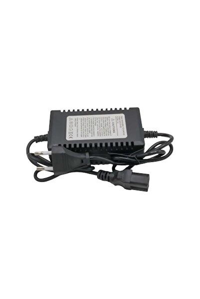 MSA Group Încărcător pentru pompă de pulverizare, MSA Group, 12 V, 8 Ah