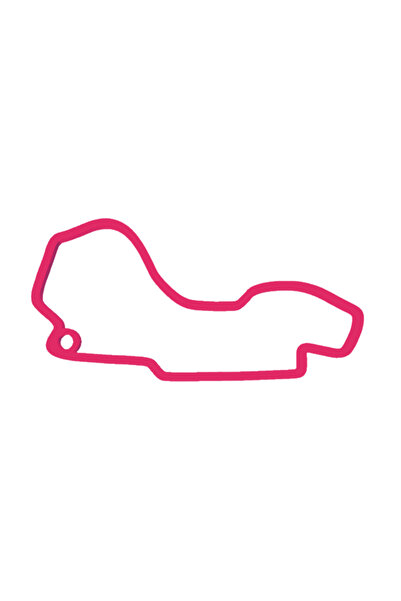 OEM Breloc chei, "FORMULA 1 MELBOURNE", 28X 55 mm roz zmeuriu