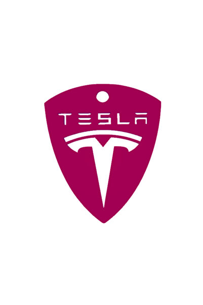 OEM Μπρελόκ,  "TESLA ", 60 x 50 χιλ., ροζ βατόμουρο