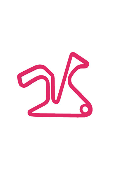 OEM Μπρελόκ, "formula 1 jerez", 45x50 χιλ. ροζ zmeuriu