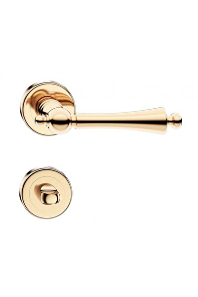 THG CENTURY Golden Gloss Door Handles with WC Rosette
