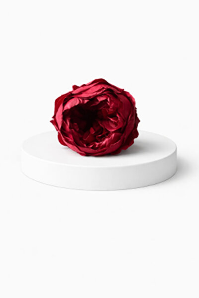 FantezieCuLicheni Bujor stabilizat – floare decorativă naturală