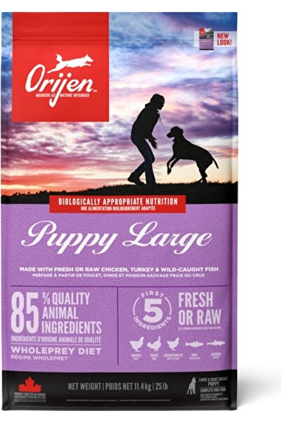 Orijen ‎Orijen Puppy Large Breed Büyük Irk Yavru Köpek Maması 11,4 kg