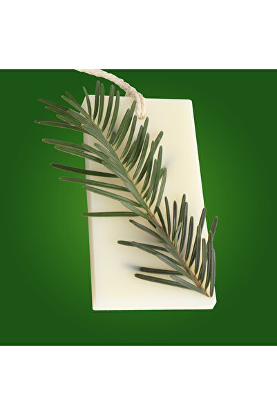 Candelina Wardrobe Air Freshener, FOREST WALK – Fir, Pine, Cedar, Rectangle, ...