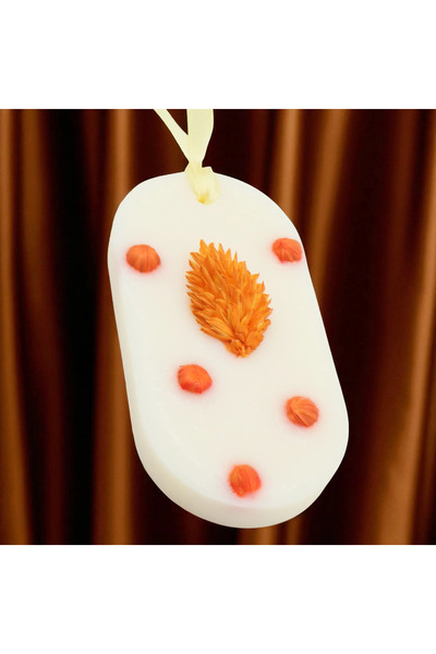 Candelina Wardrobe Air Freshener, FALL IN LOVE – Baked Pumpkin, Vanilla, Nutm...