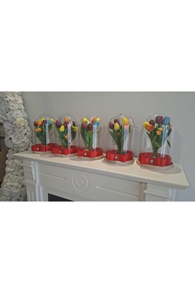 FLORİ Cupole din sticla cu aranjament de lalele