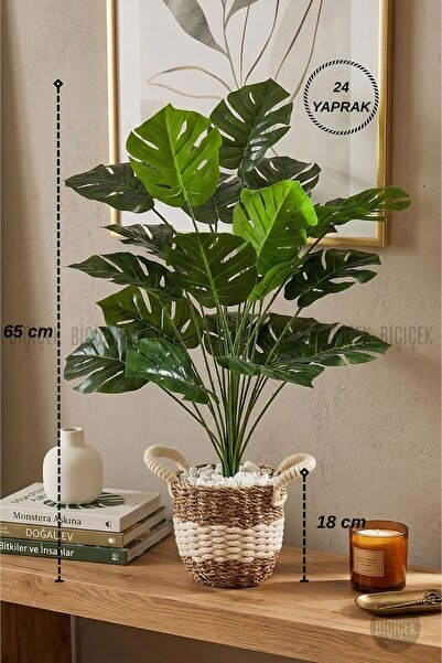 BİÇİÇEK Monstera Bitkisi Krem Örgülü Hasır Saksıda