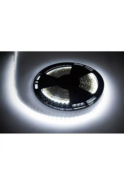 OEM Bandă LED 5050 IP20 alb rece 25m 720lm/m 5.6W/m 12V