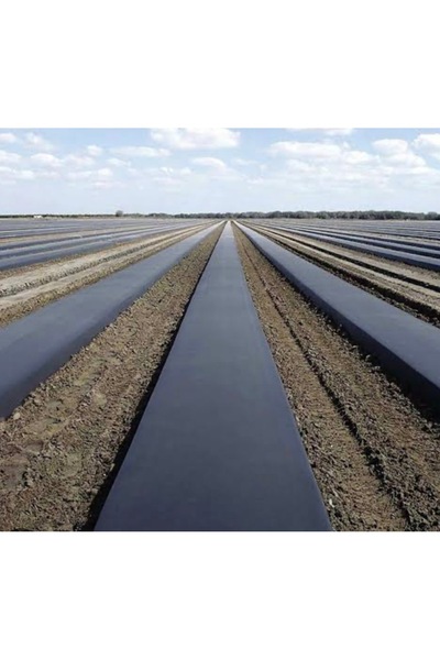 Pidok Çilek Ve Malç Naylonu Siyah 125 Cm X 25 Metre Siyah Malç