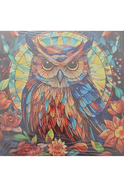 mentaş grup Çerçeveli Boncuklu Goblen Taşlı Pano Elmas Boyama Mozaik Resim Se...