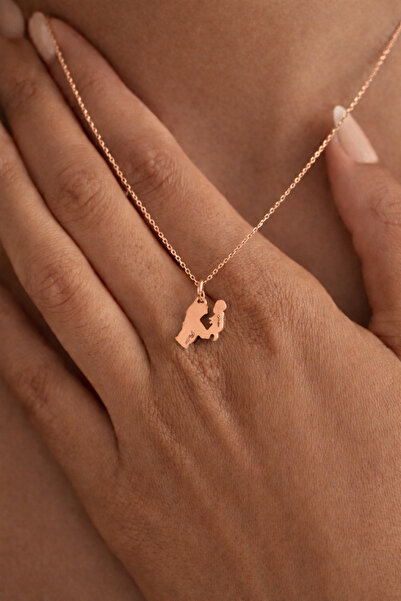Auryne Jewelry 925 Ayar Gümüş Kolye Kutulu (İstenilen İsimli) Anne Bebek Kolye