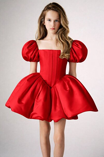 FKB FOR KIDS BABY Girl's Balloon Sleeve Corset Detailed Princess Dress