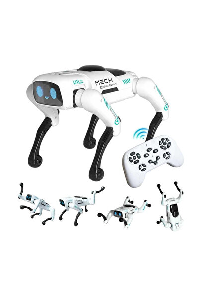 OEM Intelligent Remote Control Robot Dog, Programmable STEM Interactive Toy, ...