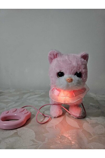 Diyar Sesli, Işıklı,Sözlerinizi Tekrar Edebilen,Yürüyen,Kuyruk Sallayan Kedi