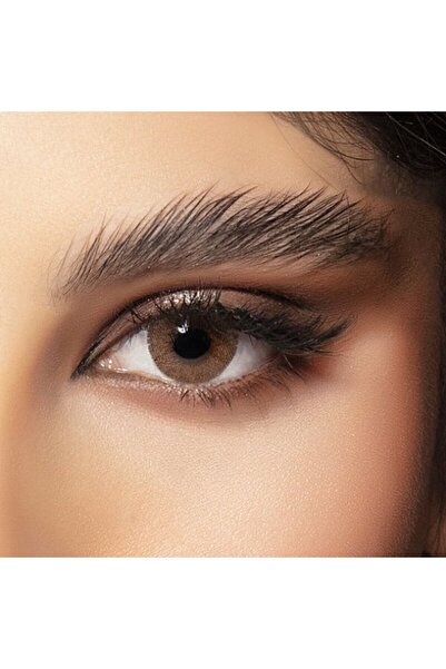 Amara Reemy Monthly Disposable Contact Lenses, Color Contact Lenses, Brown Co...