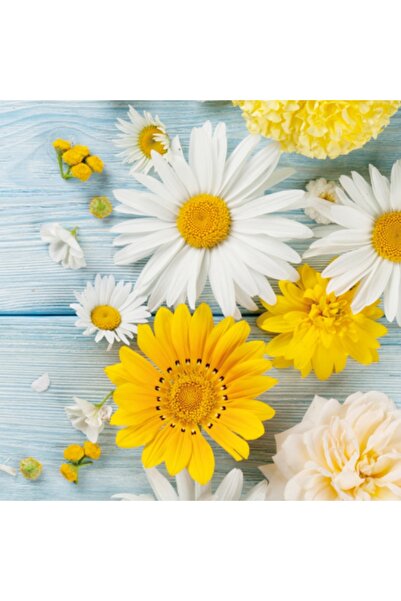 Ti Flair FLORES DE JARDIN DESENLİ KAĞIT PEÇETE