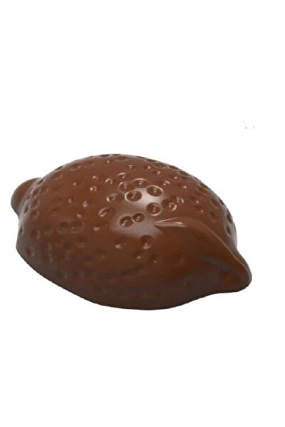 professional cake Lemon Chocolate Mold