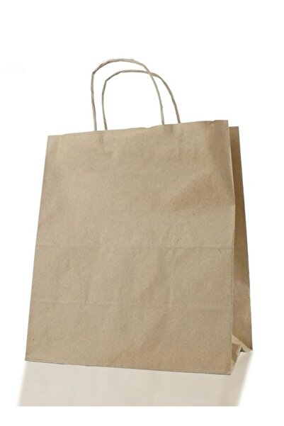 ÇELİKER Kraft Twisted Handle Paper Shopping Bags 25 Pieces - 28X16X28Cm cm