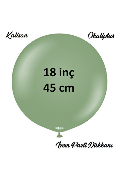 İrem Parti Dükkanı Kalisan Retro Eucalyptus Latex Balloons 2 Pieces 18 Inches...