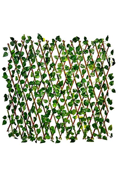 OEM Ξύλινο Παραβάν με Φύλλα 60x180εκ.