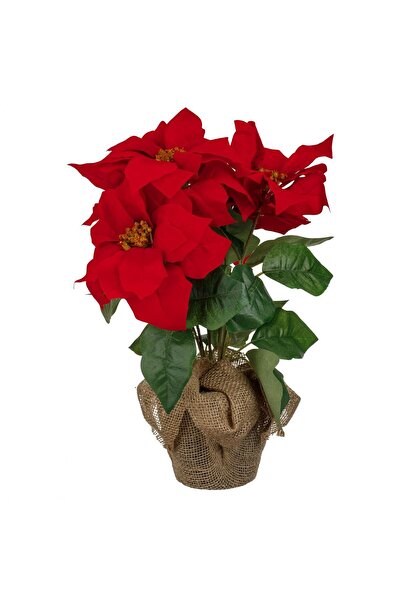 OEM Ghiveci Decorativ de Craciun cu Craciunita 43 centimetri