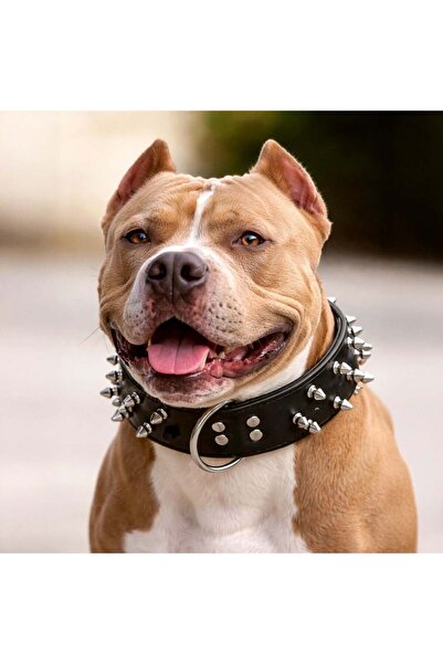 OEM Μαύρο κολάρο σκύλου με στόρια 60x3.8 εκατοστά - XL
