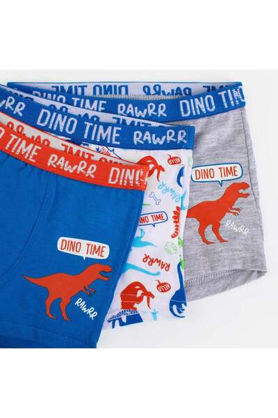 OEM Σετ Λευκά και Γαλάζια Παιδικά Μποξεράκια με Δεινόσαυρους - 3 Ζευγάρια, 2-...