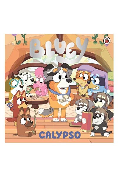 Ladybird Book Калинка Блуи Калипсо